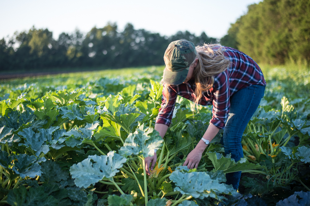 Farms and Farmers in Northeast Florida | Edible Northeast Florida