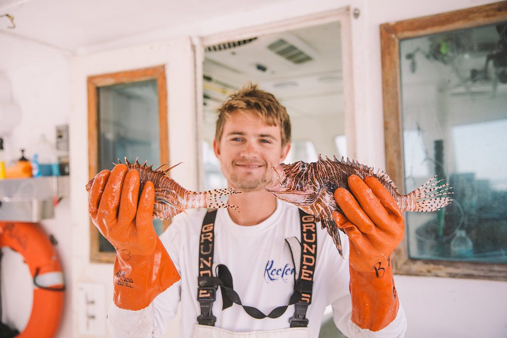 Lionfish held by a crew member of a commerical fishing vessel. 