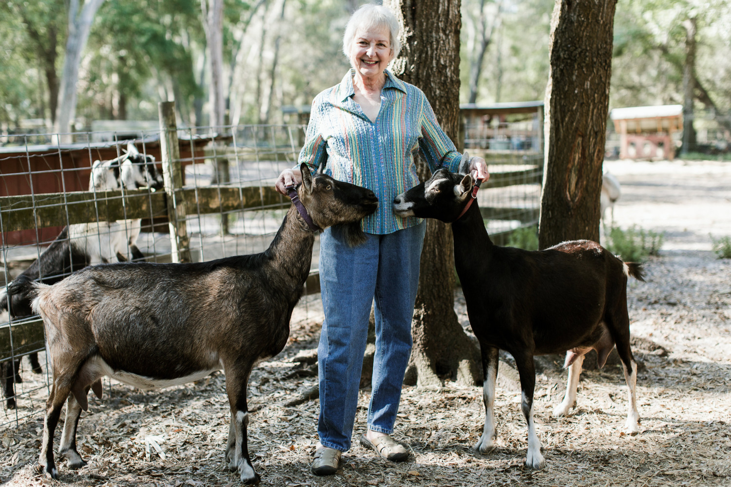 Sharon TerKeurst at her goat farm, Terk's Acres, in St. Johns County.