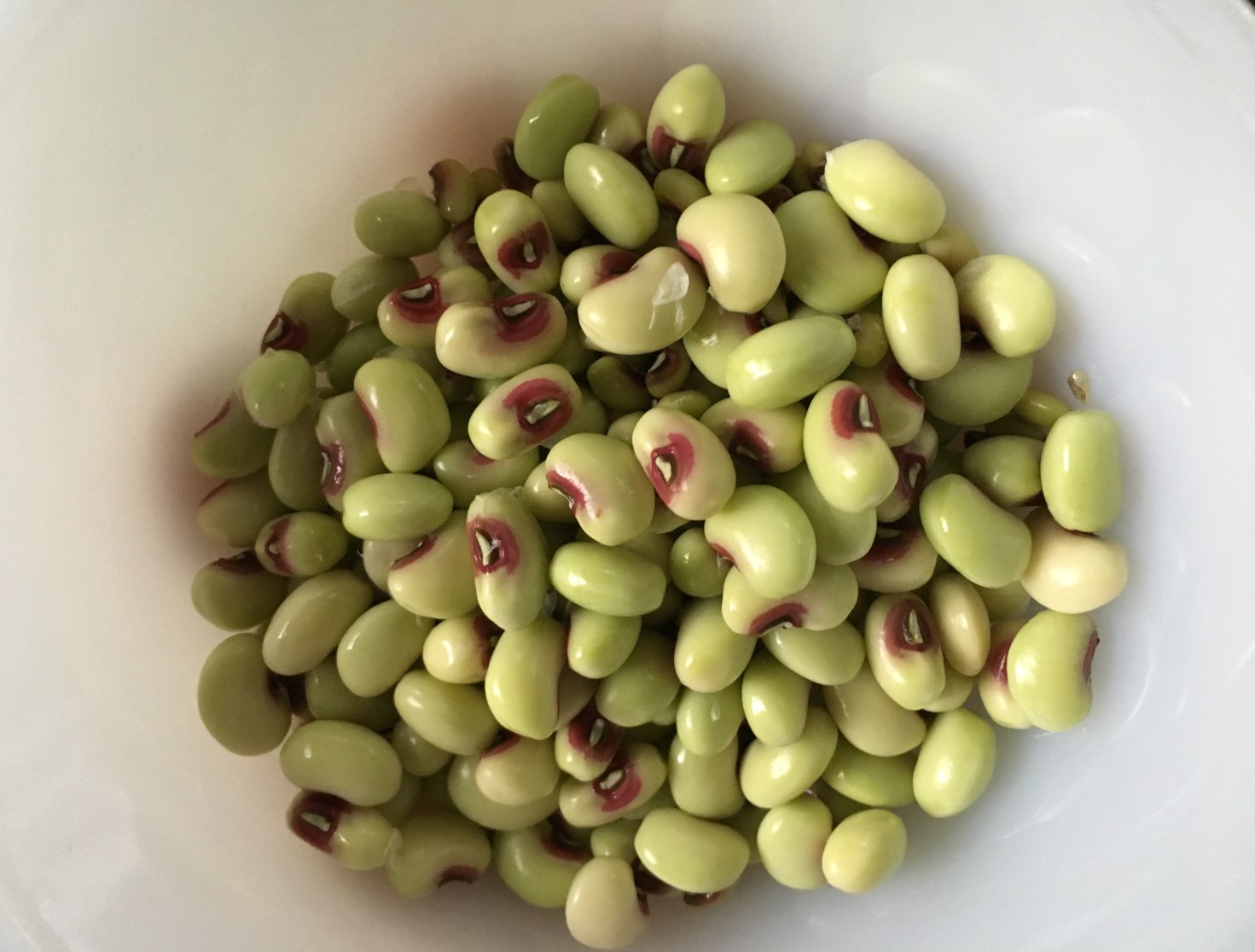 southern peas