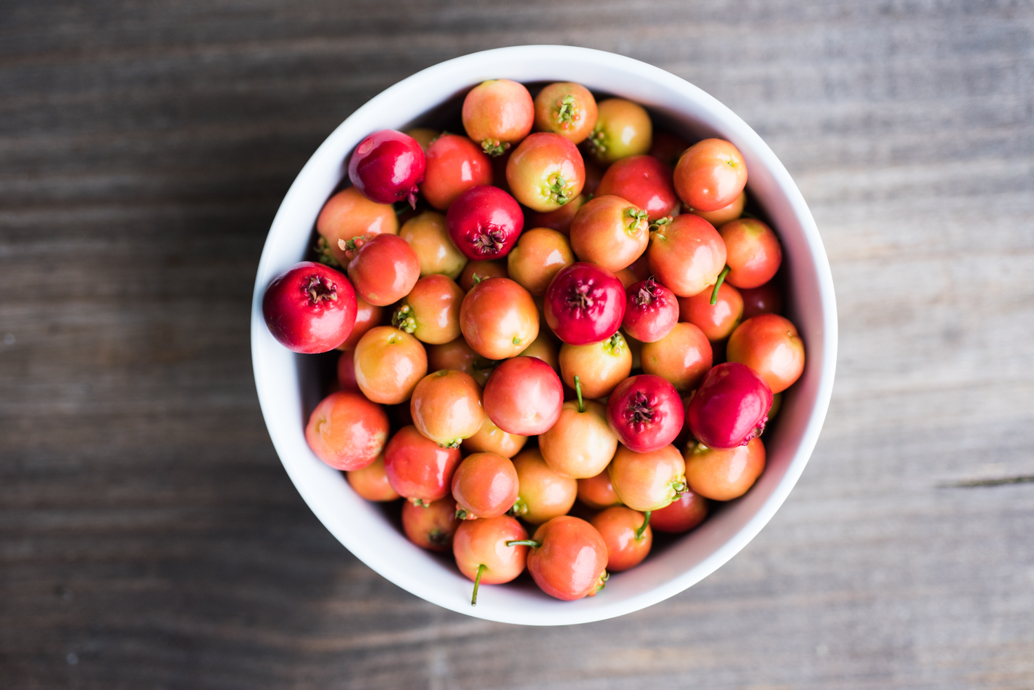 mayhaw fruit in a bowl