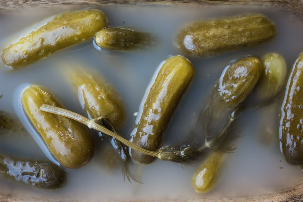 Olive My Pickle pickles in bring