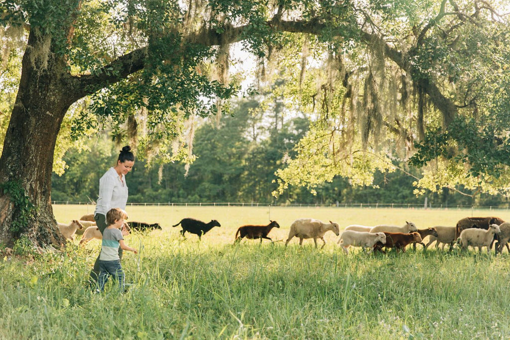 mother and son with sheep in a field in Florida