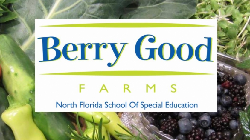 Berry Good Farms Logo