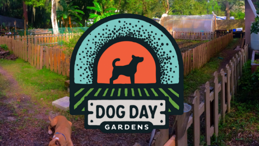 Dog Day Garden organic gardening workshop in northeast florida