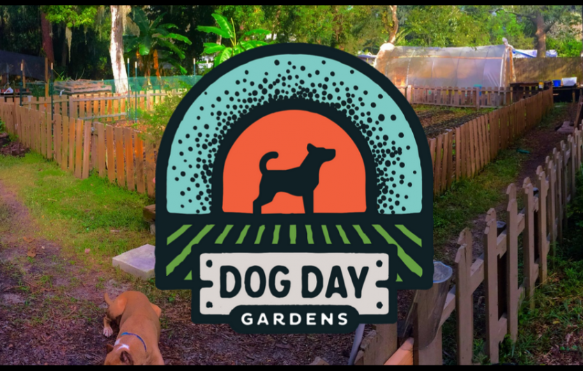 Dog Day Gardens