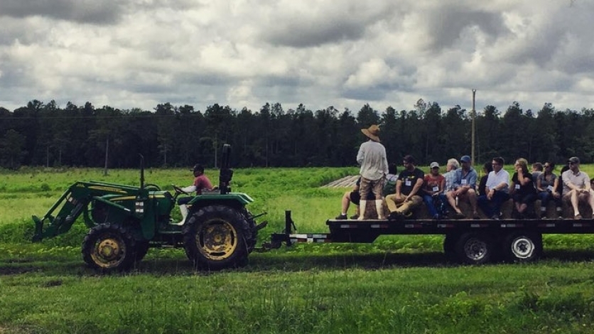 Community potluck and farm tour at Frog Song
