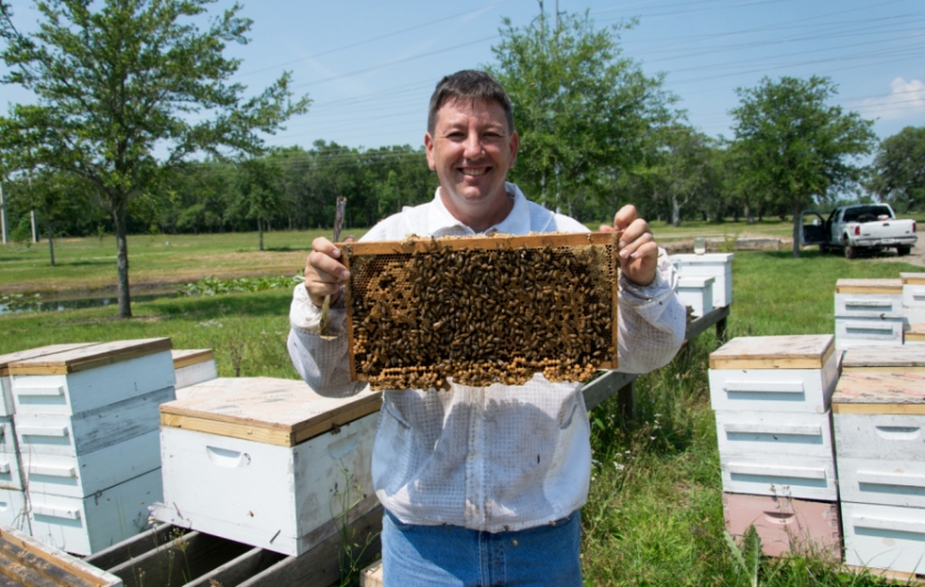 bee friends farm owner holding bees near hive 