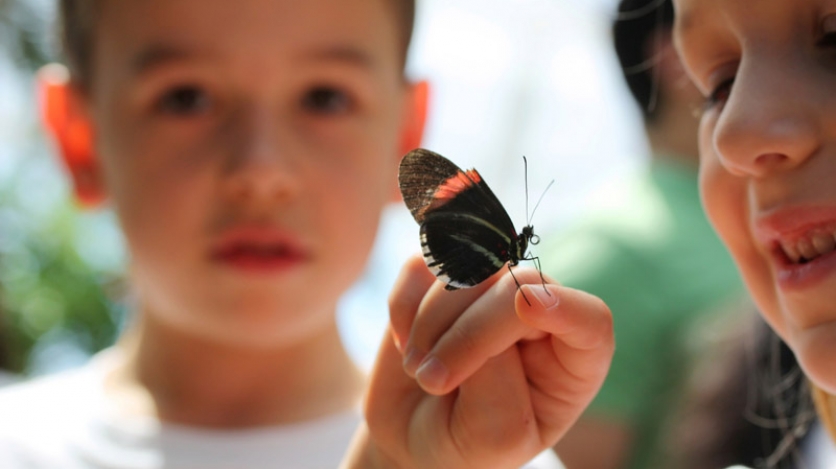 Kids holding butterfly