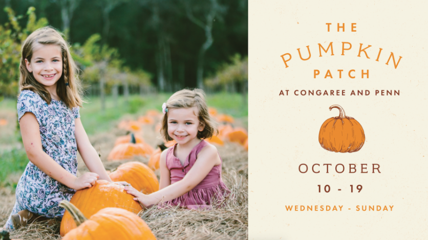 congaree and penn pumpkin patch