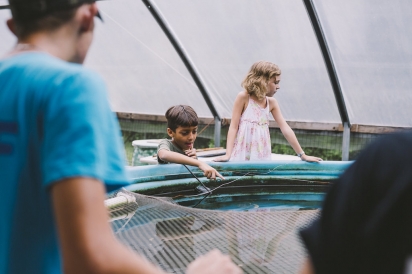 kids at aquaponic pool with fish