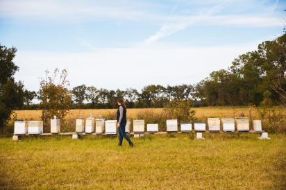 Bee hives at Bee Hill Farm St. Johns County