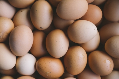 Bethesda Farm Eggs