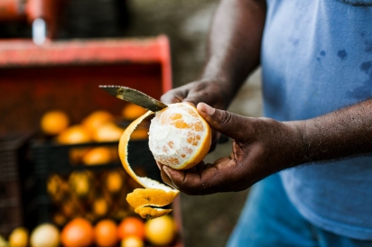Cecil Nelson peeling citrus