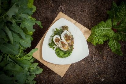 Oysters and microgreens on a plate