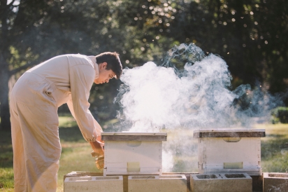 Justin Stubblefield using smoker on hives