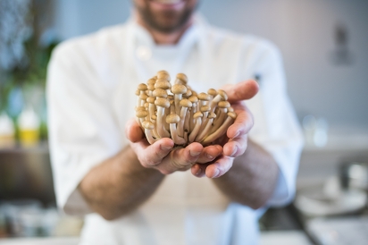 Beech Mushrooms at Restaurant Doro