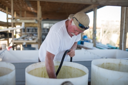 Michael Sullivan with clam growing tanks 