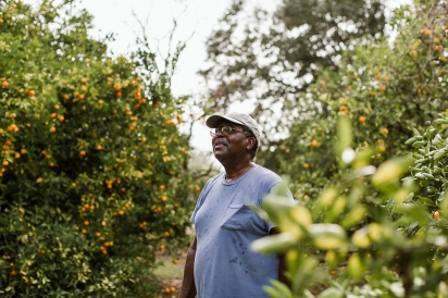 Cecil Nelson in his citrus orchard in San Mateo Florida