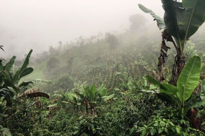 Finca Merced in the Ecuadorian rainforest