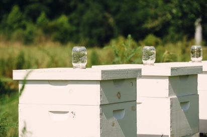 Honey Bee Hive Boxes at Congaree and Penn Farm and Mills