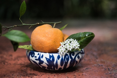orange and chive flower in blue and white bowl