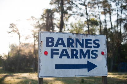 barnes farms sign