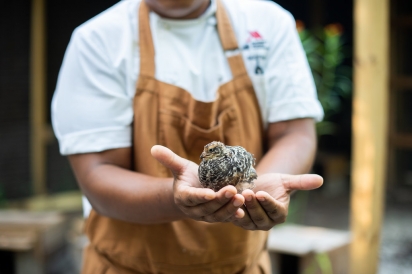 small hen in chef's hands at Sawgrass Marriott
