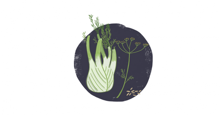 fennel and seeds