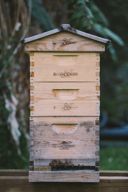 bee hive at greyfield inn