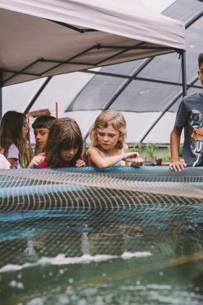 kids at aquaponic pool