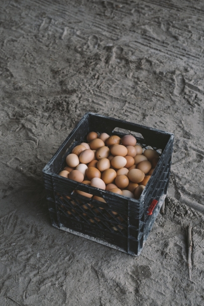 Farm eggs in a crate
