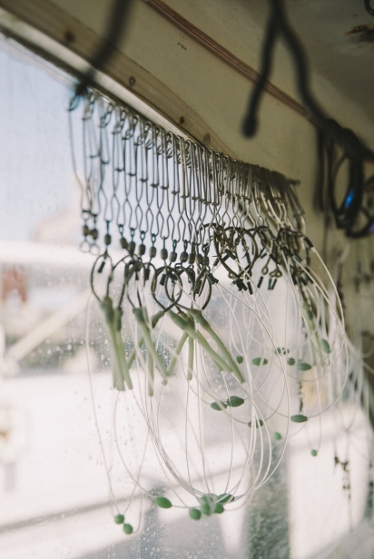 Fishing hooks on a commercial fishing vessel