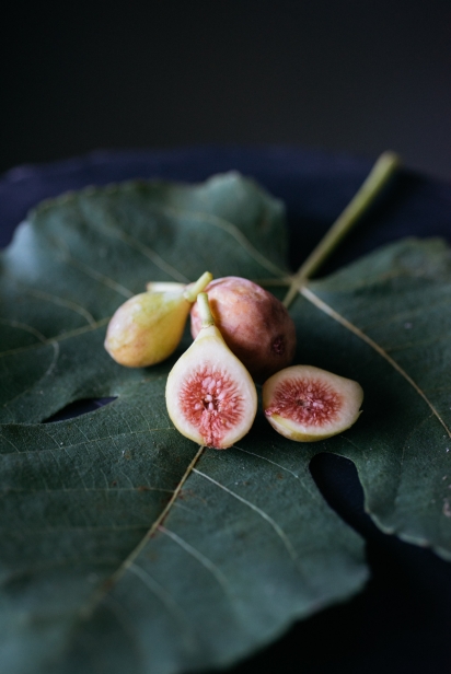 celeste Figs on a leaf