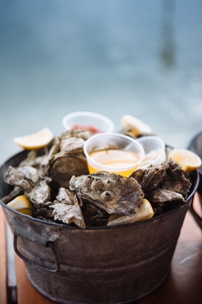 oysters in bucket