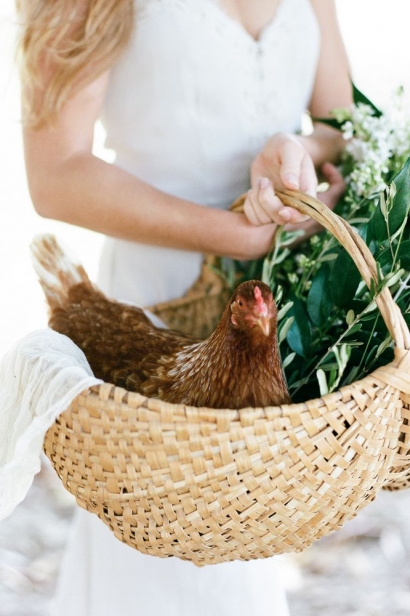 chicken resting in basket