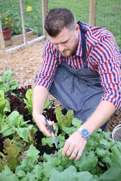 Chef Steve Stallone harvesting greens in his garden