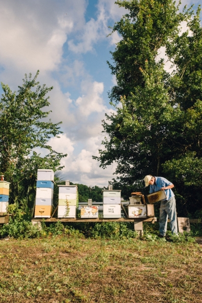 Beekeeper Bo Sterk tends to his honey bee hives outside of St. Augustine Florida 