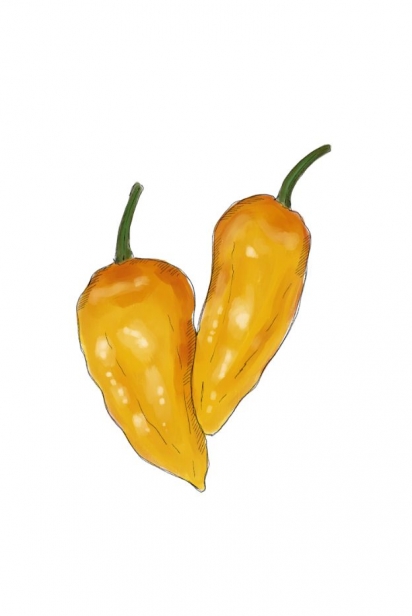 datil peppers