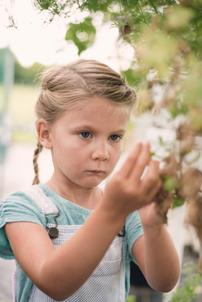Little hands examine leaves of a plant at Rype and readi farm market in elkton Florida 