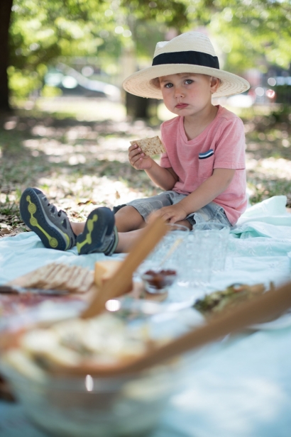boy at a picnic