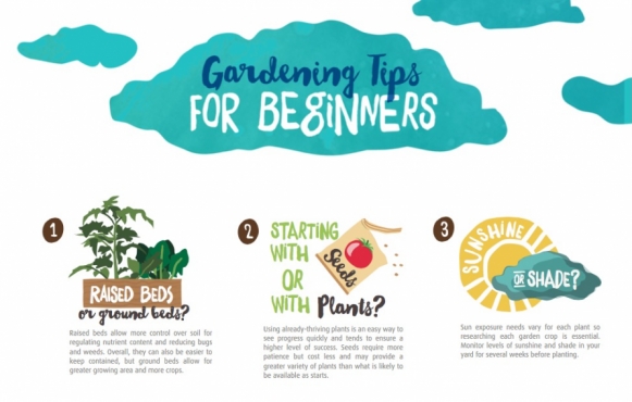 Garden tips for beginners illustration edible northeast florida 
