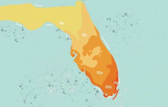 plant hardiness zone map