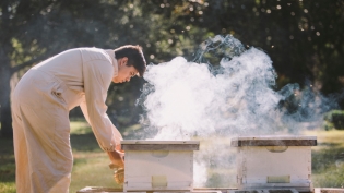 Beekeeper tending hives in Northeast Florida