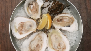 fresh raw oysters on a tray with ice and lemon from bistro aix in san marco