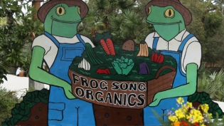 Frog Song Organics farm in Hawthorne Florida 